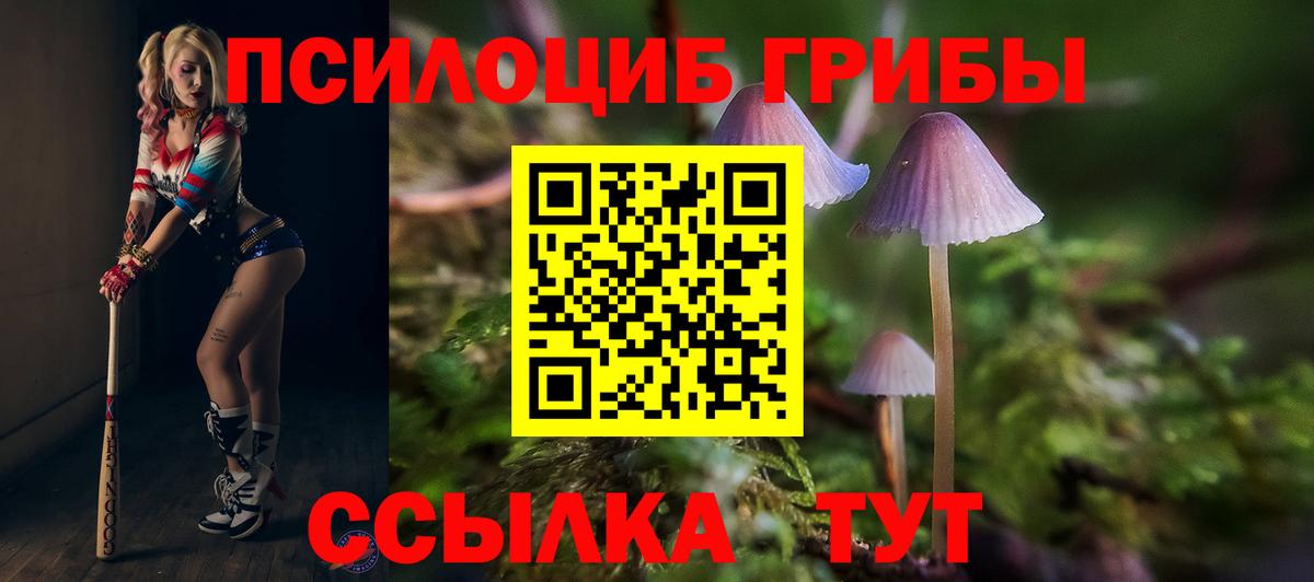 Псилоцибиновые грибы MAGIC MUSHROOMS Чистополь